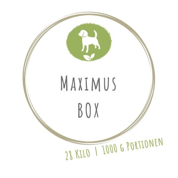 MAXIMUS BOX