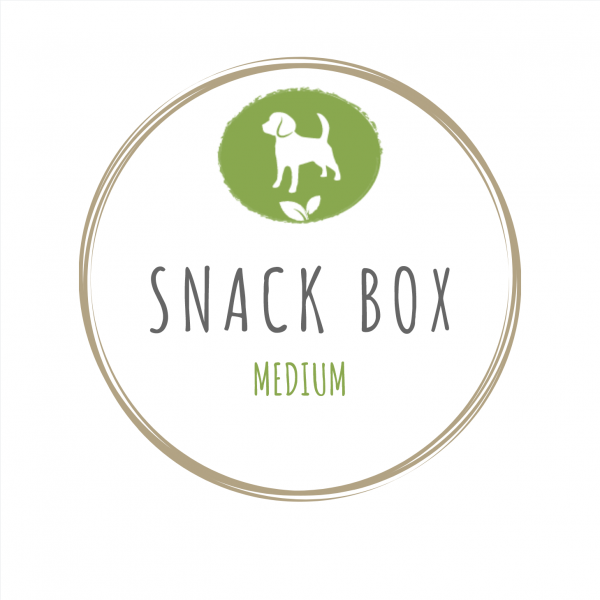 Snack Box Medium