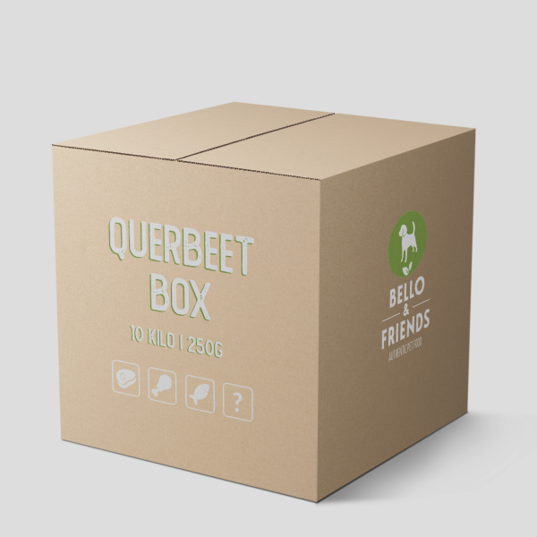 QUERBEET BOX S